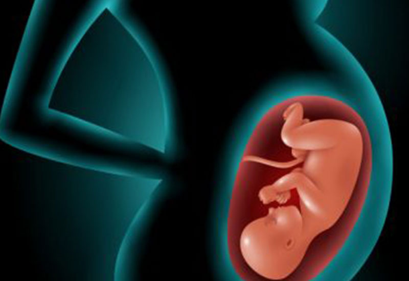 Jananii Fertility