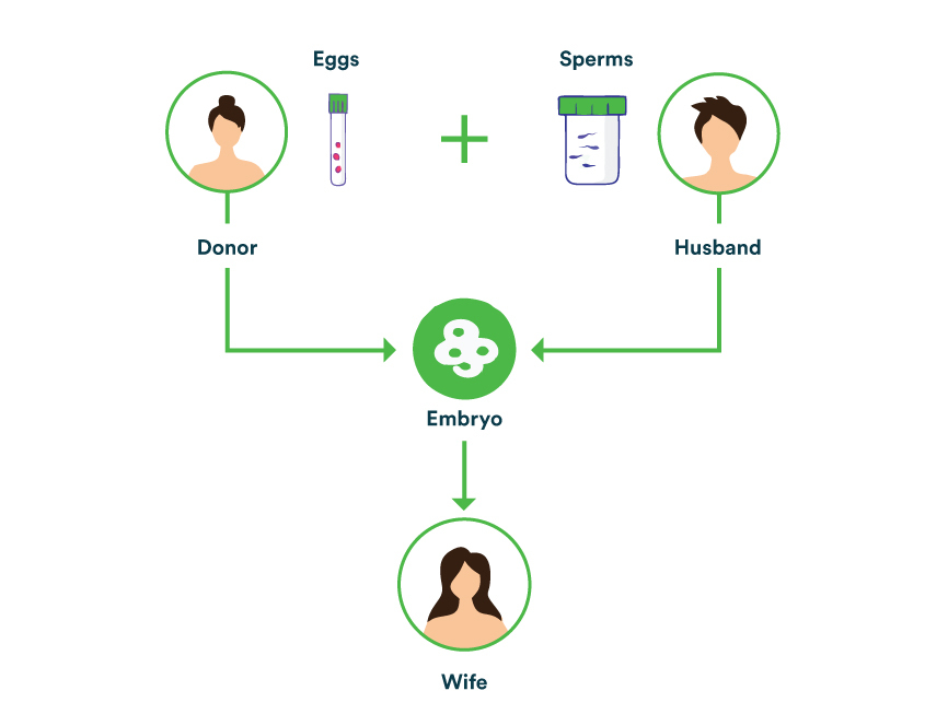 Embryo-Donation