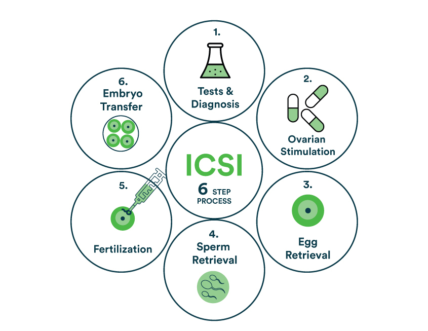 ICSI-process