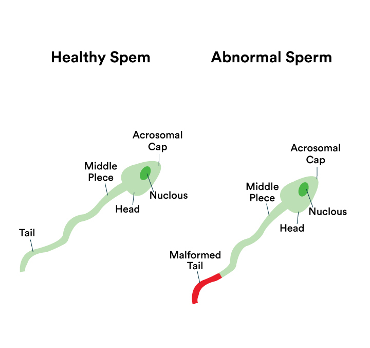 Female-Treatment